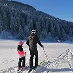 Zu Hollenau *