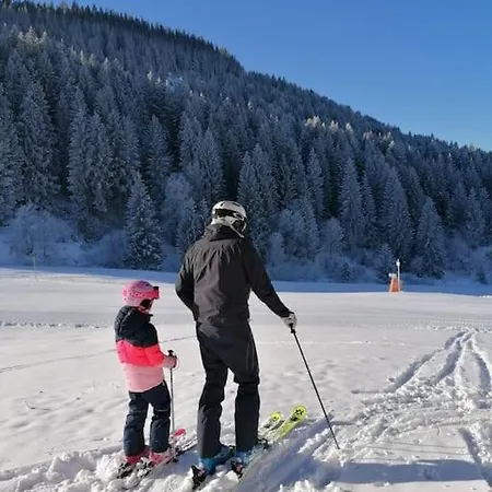 Zu Hollenau *